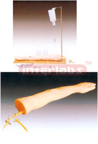 Injectable Training Arm Model